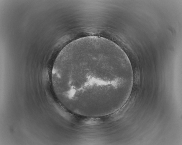 X0000111240128200908131154