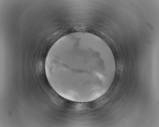 X0000111240130200908131154