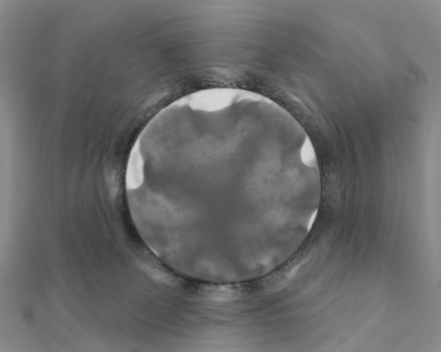 X0000111240131200908131154