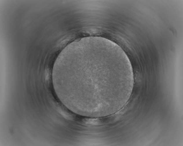 X0000111240132200908131154
