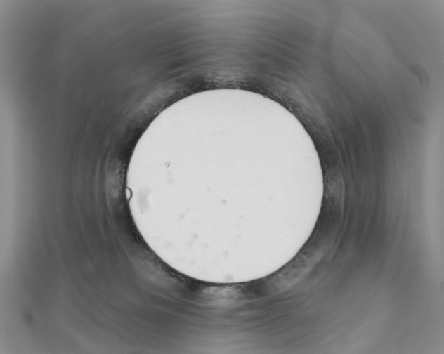 X0000111240133200908131154