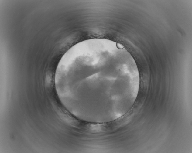 X0000111240134200908131154