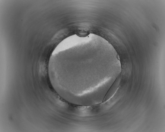X0000111240136200908131154
