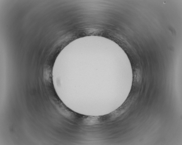X0000111240138200908131153