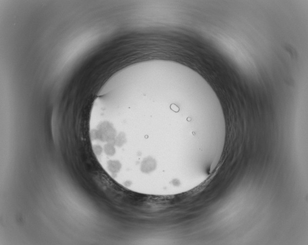 X0000111240140200908131153