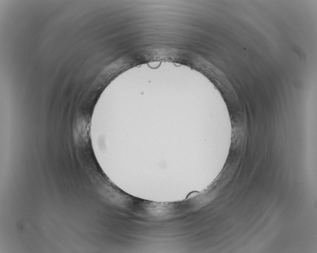 X0000111240142200908131153