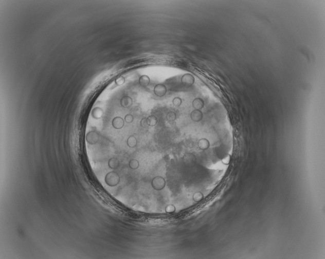 X0000111240149200908131153