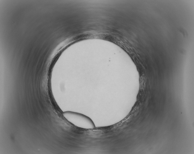 X0000111240150200908131153