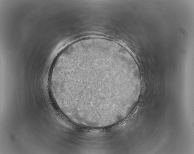 X0000111240151200908131153