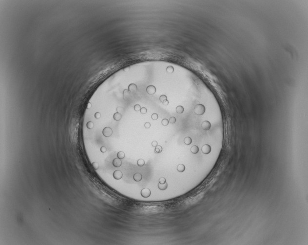 X0000111240153200908131153