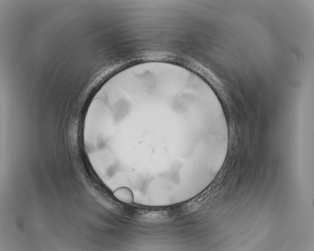 X0000111240155200908131153
