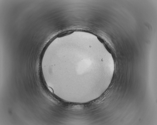 X0000111240156200908131153
