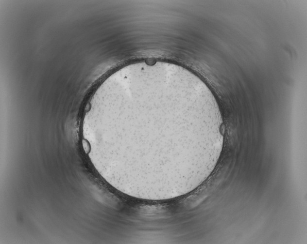 X0000111240160200908131153