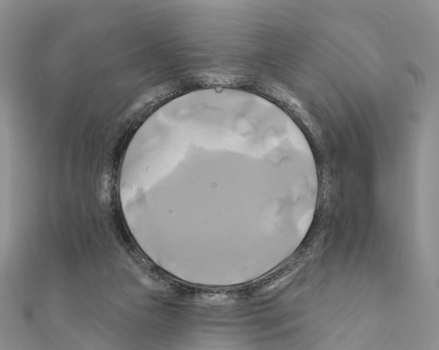 X0000111240161200908131153