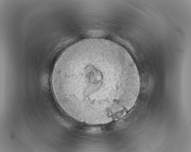 X0000111240162200908131153