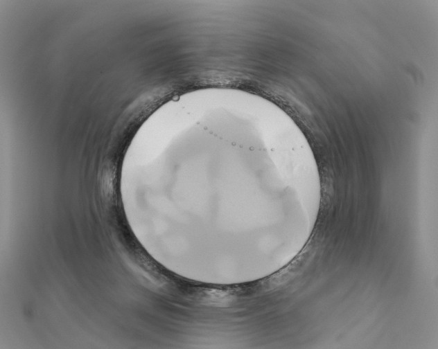 X0000111240166200908131153
