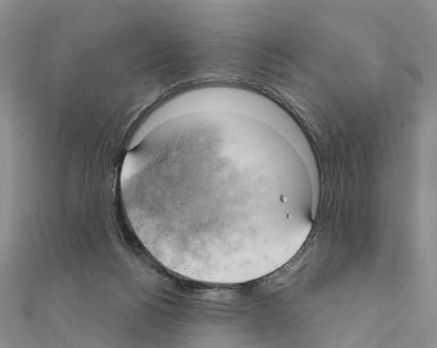 X0000111240168200908131153