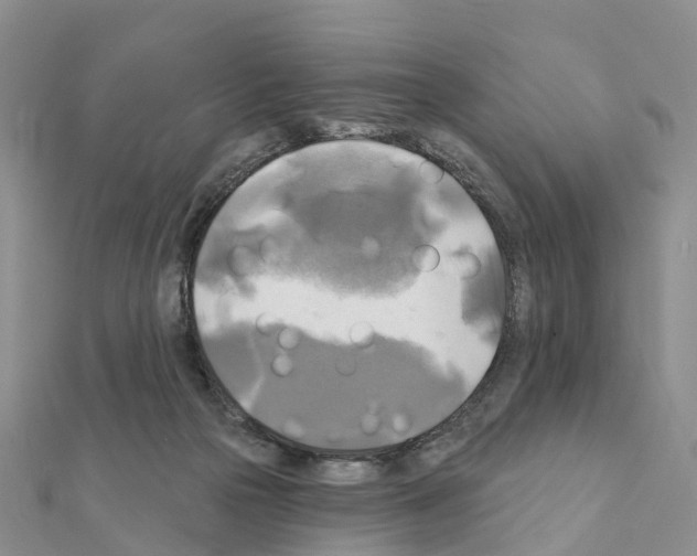 X0000111240169200908131153