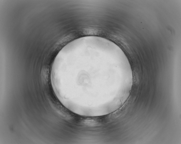 X0000111240171200908131153