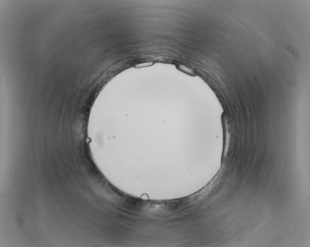 X0000111240174200908131153
