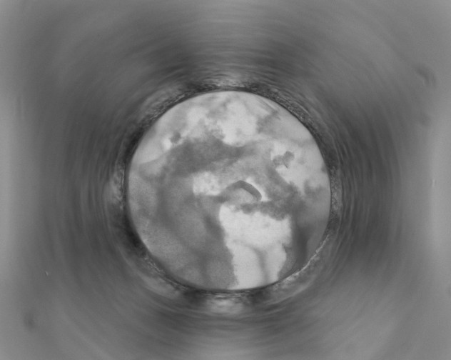 X0000111240175200908131153