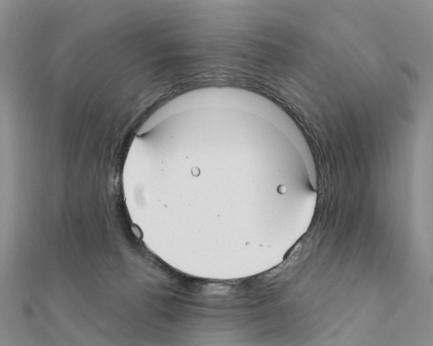 X0000111240176200908131153