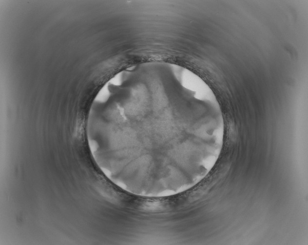 X0000111240177200908131153