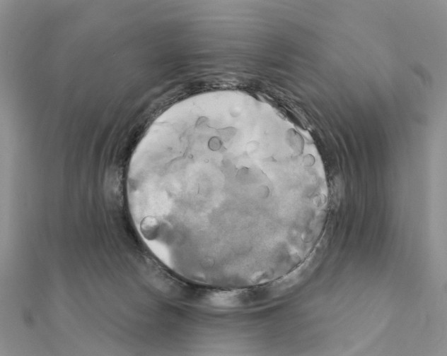 X0000111240178200908131153
