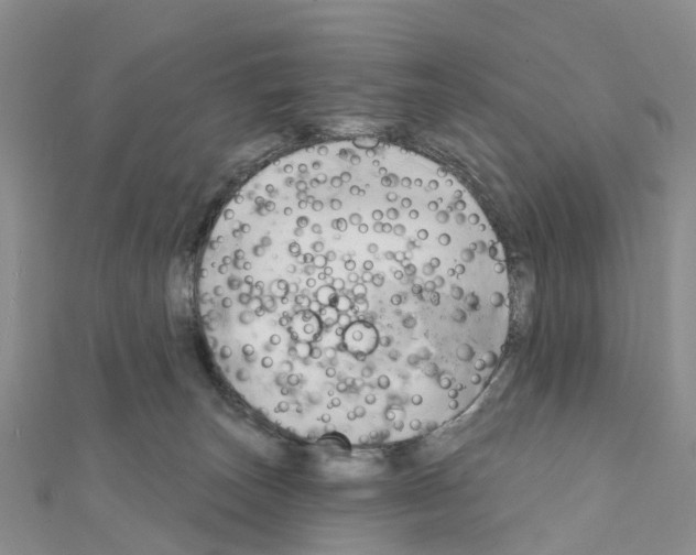 X0000111240179200908131153