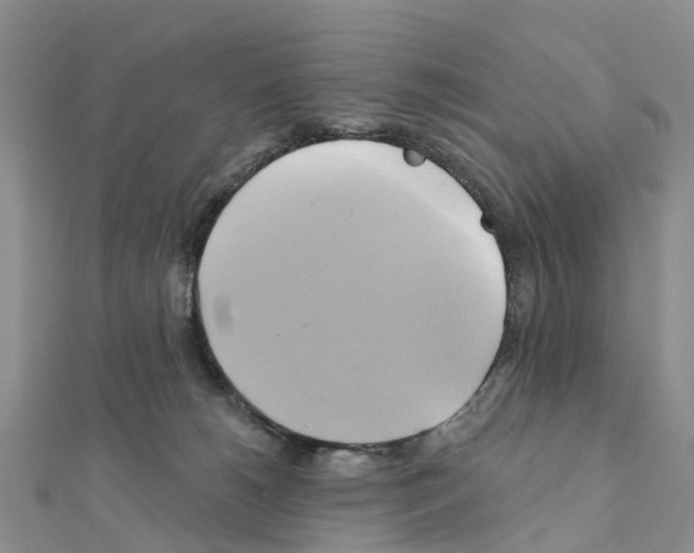 X0000111240180200908131153