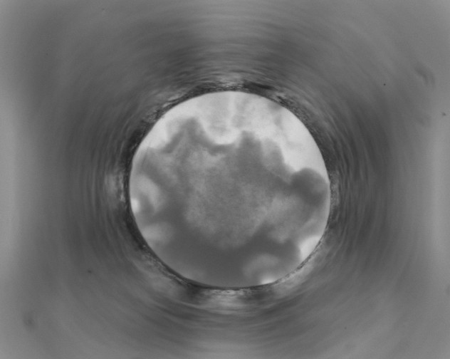 X0000111240182200908131153