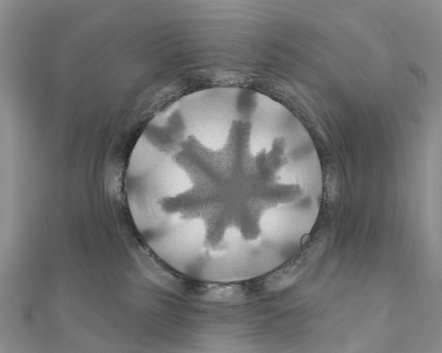 X0000111240185200908131153