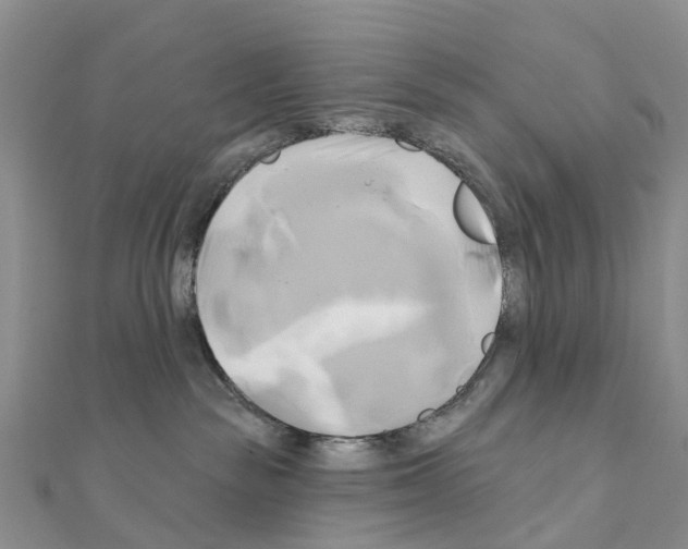 X0000111240189200908131153