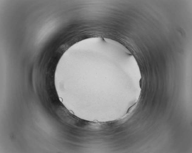 X0000111240190200908131153