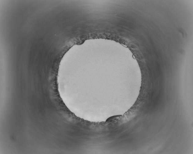 X0000111240192200908131153