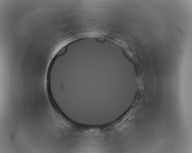 X0000111240196200908131153