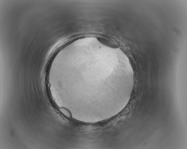 X0000111240197200908131153