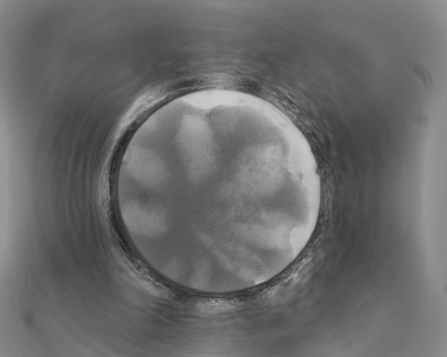 X0000111240198200908131153