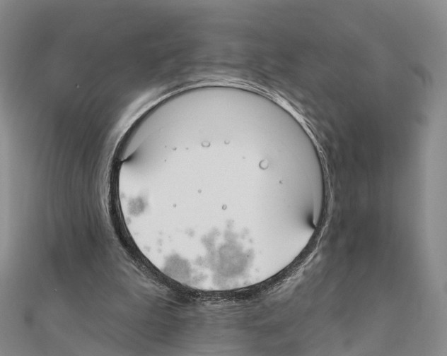 X0000111240199200908131153