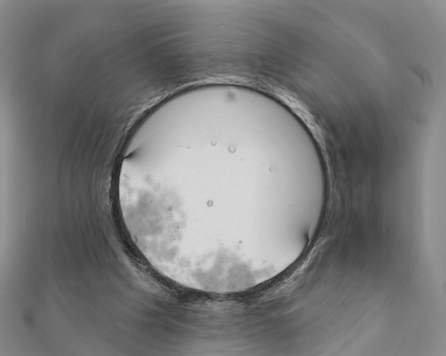 X0000111240201200908131153