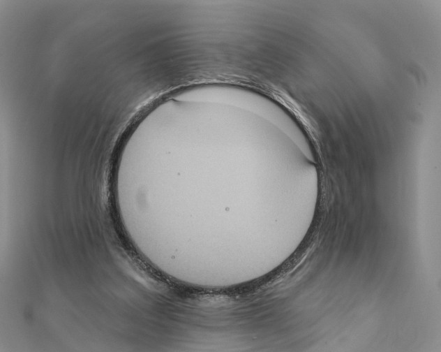 X0000111240203200908131153