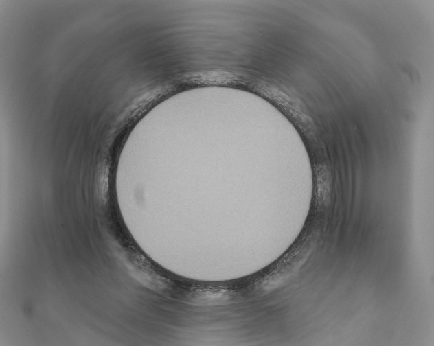 X0000111240206200908131153