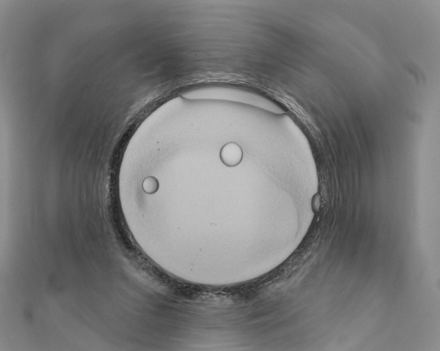 X0000111240207200908131153