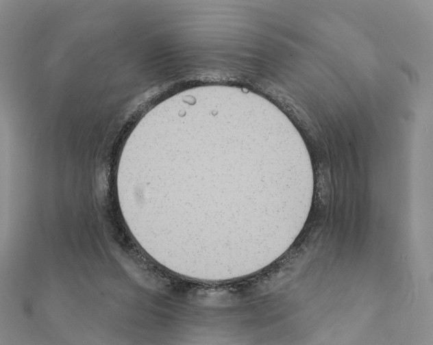 X0000111240208200908131153