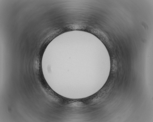 X0000111240210200908131153