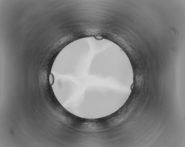 X0000111240211200908131153