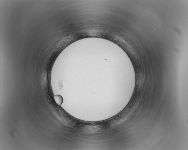 X0000111240213200908131153