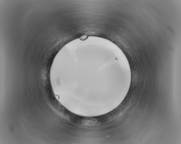 X0000111240215200908131152