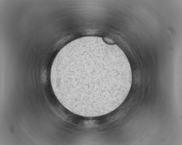 X0000111240216200908131152