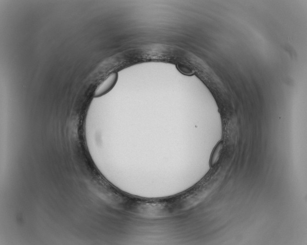 X0000111240217200908131152